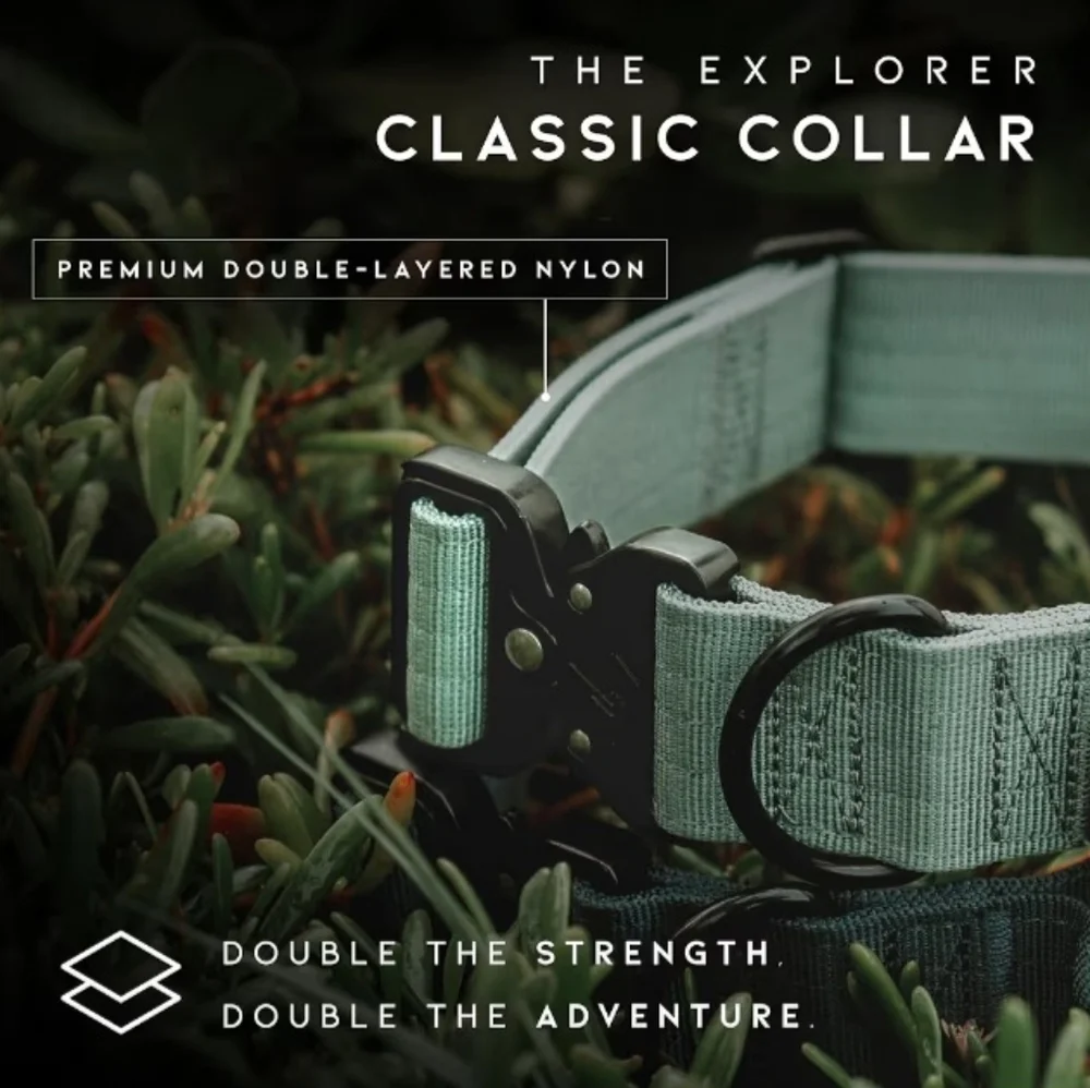 Explorer Roam Dog Collar